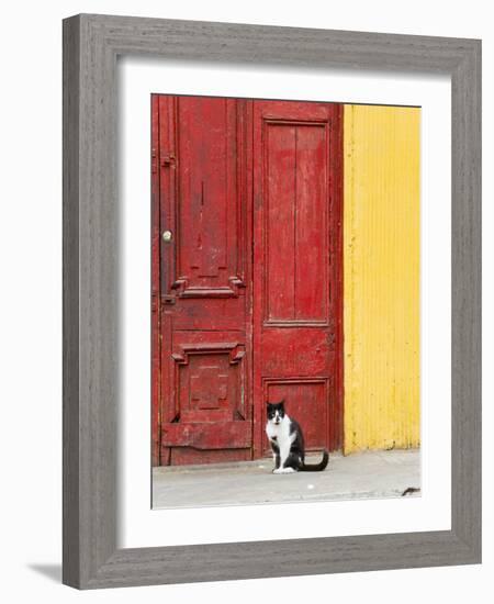 Cat and Colorful Doorway, Valparaiso, Chile-Scott T. Smith-Framed Photographic Print