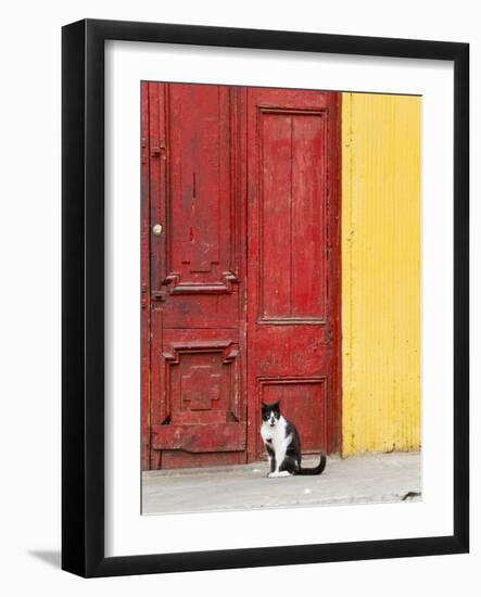 Cat and Colorful Doorway, Valparaiso, Chile-Scott T. Smith-Framed Photographic Print