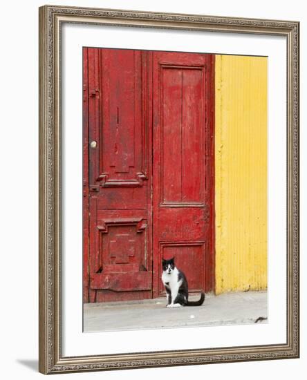 Cat and Colorful Doorway, Valparaiso, Chile-Scott T. Smith-Framed Photographic Print