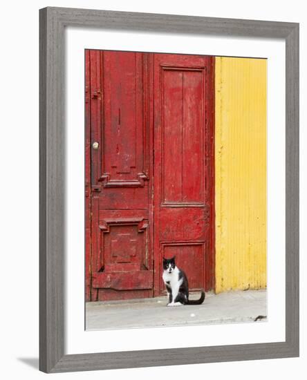 Cat and Colorful Doorway, Valparaiso, Chile-Scott T. Smith-Framed Photographic Print