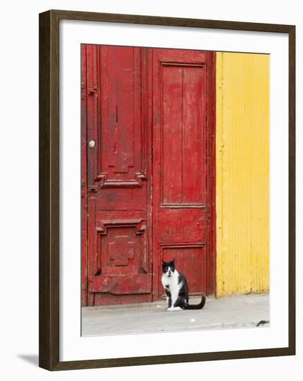 Cat and Colorful Doorway, Valparaiso, Chile-Scott T. Smith-Framed Photographic Print