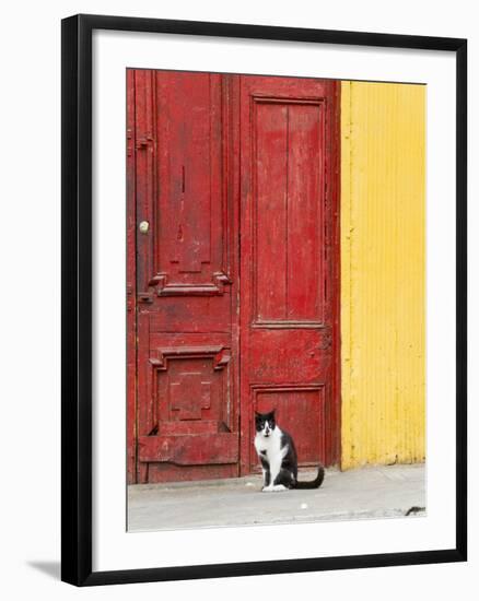 Cat and Colorful Doorway, Valparaiso, Chile-Scott T. Smith-Framed Photographic Print