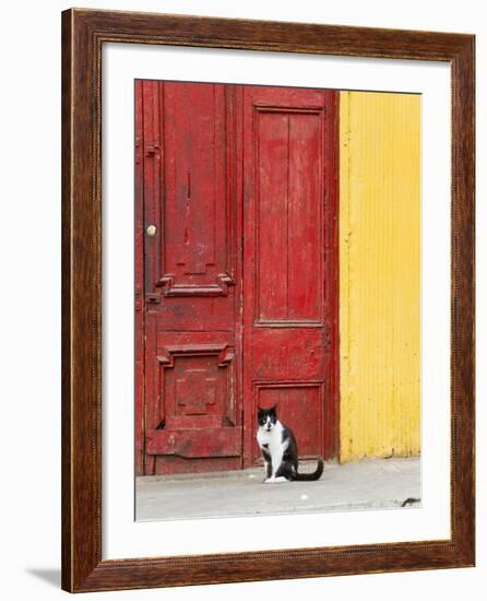 Cat and Colorful Doorway, Valparaiso, Chile-Scott T. Smith-Framed Photographic Print