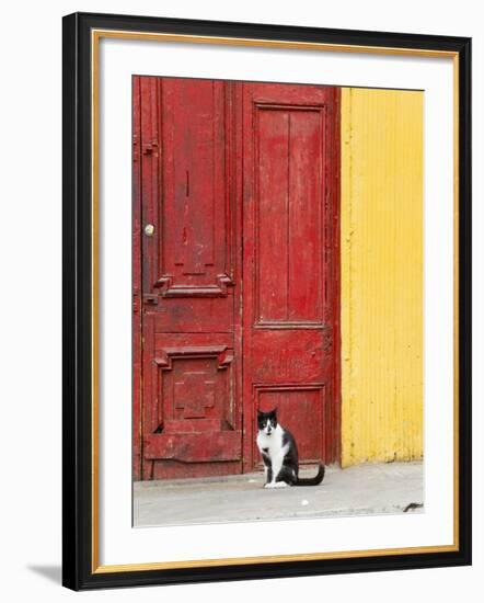 Cat and Colorful Doorway, Valparaiso, Chile-Scott T. Smith-Framed Photographic Print