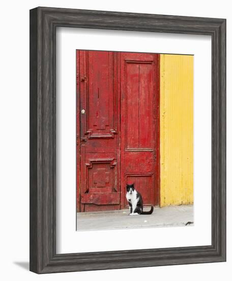 Cat and Colorful Doorway, Valparaiso, Chile-Scott T. Smith-Framed Photographic Print