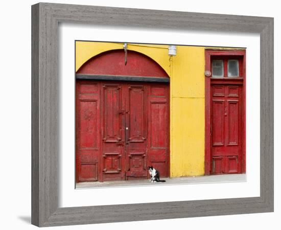Cat and Colorful Doorways, Valparaiso, Chile-Scott T. Smith-Framed Photographic Print
