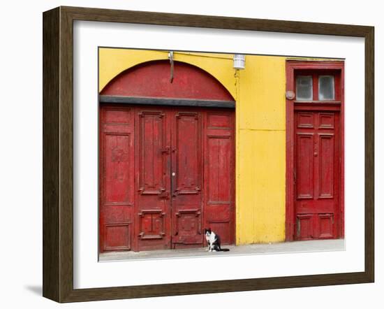 Cat and Colorful Doorways, Valparaiso, Chile-Scott T. Smith-Framed Photographic Print