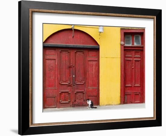 Cat and Colorful Doorways, Valparaiso, Chile-Scott T. Smith-Framed Photographic Print