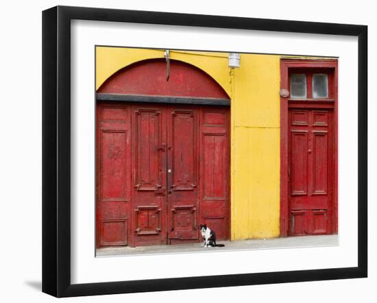 Cat and Colorful Doorways, Valparaiso, Chile-Scott T. Smith-Framed Photographic Print