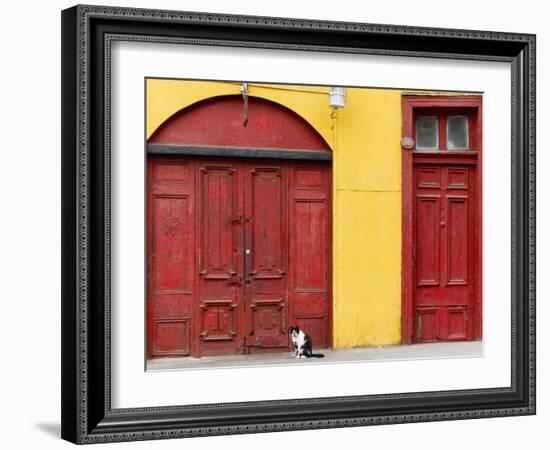 Cat and Colorful Doorways, Valparaiso, Chile-Scott T. Smith-Framed Photographic Print