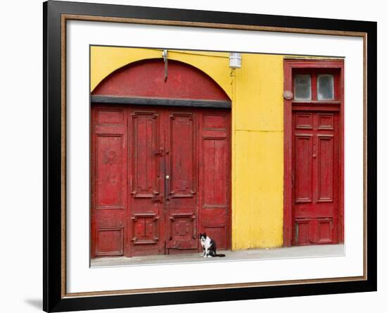 Cat and Colorful Doorways, Valparaiso, Chile-Scott T. Smith-Framed Photographic Print