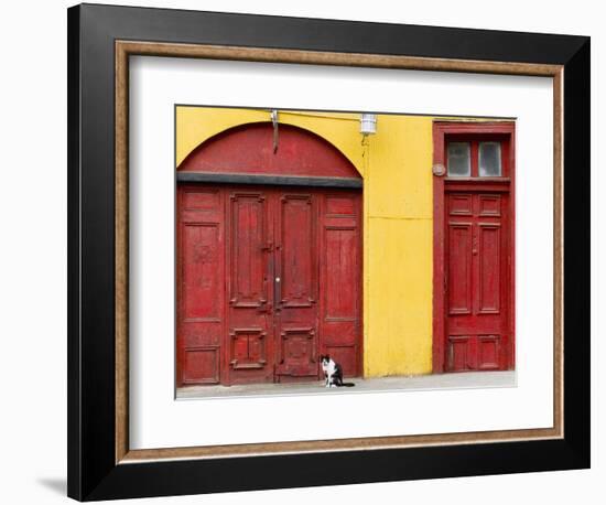 Cat and Colorful Doorways, Valparaiso, Chile-Scott T. Smith-Framed Photographic Print