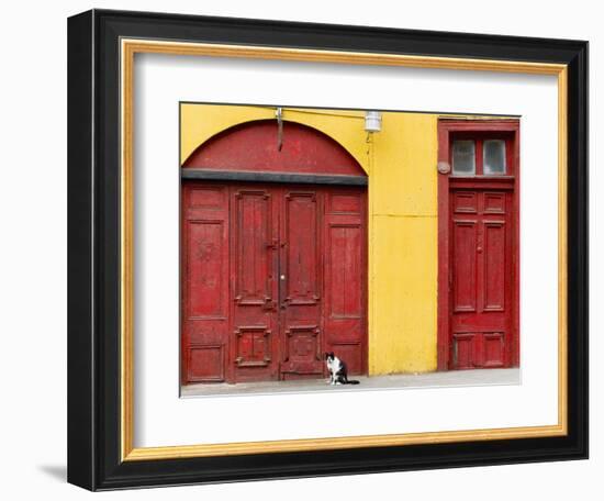 Cat and Colorful Doorways, Valparaiso, Chile-Scott T. Smith-Framed Photographic Print