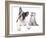 Cat and Dog, British Kitten and  French Bulldog Puppy-Lilun-Framed Photographic Print