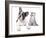 Cat and Dog, British Kitten and  French Bulldog Puppy-Lilun-Framed Photographic Print