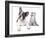 Cat and Dog, British Kitten and  French Bulldog Puppy-Lilun-Framed Photographic Print