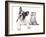 Cat and Dog, British Kitten and  French Bulldog Puppy-Lilun-Framed Photographic Print