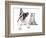 Cat and Dog, British Kitten and  French Bulldog Puppy-Lilun-Framed Photographic Print