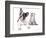 Cat and Dog, British Kitten and  French Bulldog Puppy-Lilun-Framed Photographic Print