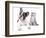 Cat and Dog, British Kitten and  French Bulldog Puppy-Lilun-Framed Photographic Print