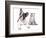 Cat and Dog, British Kitten and  French Bulldog Puppy-Lilun-Framed Photographic Print