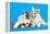 Cat and Dog, Cat Maine Coon and Corgi Puppy-Lilun-Framed Premier Image Canvas