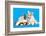 Cat and Dog, Cat Maine Coon and Corgi Puppy-Lilun-Framed Photographic Print