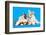 Cat and Dog, Cat Maine Coon and Corgi Puppy-Lilun-Framed Photographic Print