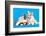 Cat and Dog, Cat Maine Coon and Corgi Puppy-Lilun-Framed Photographic Print