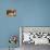 Cat And Dog, Kitten And Puppy-Lilun-Photographic Print displayed on a wall