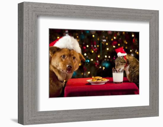 Cat And Dog Taking Over Santa'S Cookies And Milk-websubstance-Framed Photographic Print