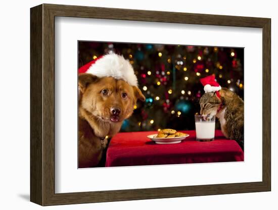 Cat And Dog Taking Over Santa'S Cookies And Milk-websubstance-Framed Photographic Print