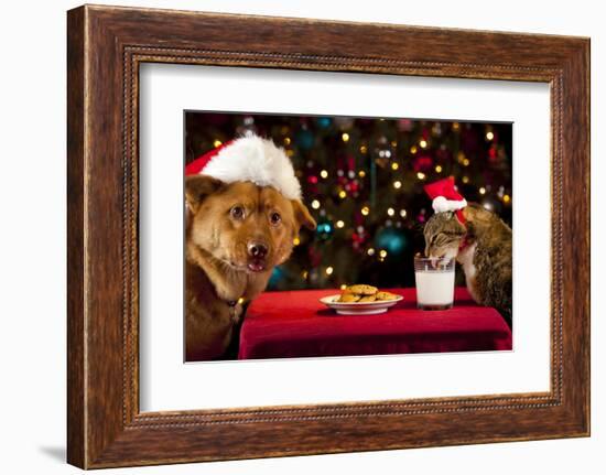 Cat And Dog Taking Over Santa'S Cookies And Milk-websubstance-Framed Photographic Print