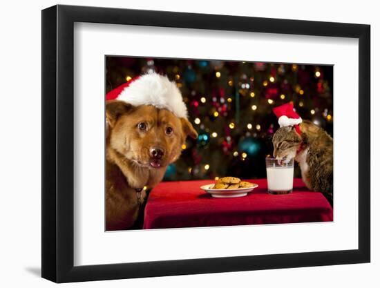 Cat And Dog Taking Over Santa'S Cookies And Milk-websubstance-Framed Photographic Print