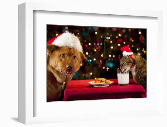 Cat And Dog Taking Over Santa'S Cookies And Milk-websubstance-Framed Photographic Print