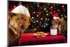 Cat And Dog Taking Over Santa'S Cookies And Milk-websubstance-Mounted Photographic Print