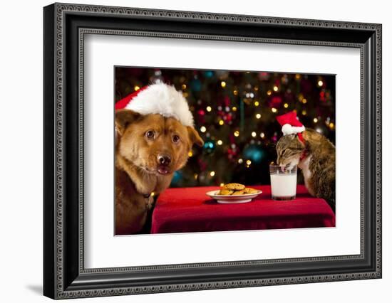 Cat And Dog Taking Over Santa'S Cookies And Milk-websubstance-Framed Photographic Print