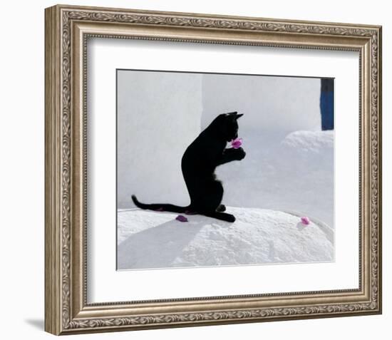 Cat and Flower-Hubert & Klein-Framed Art Print