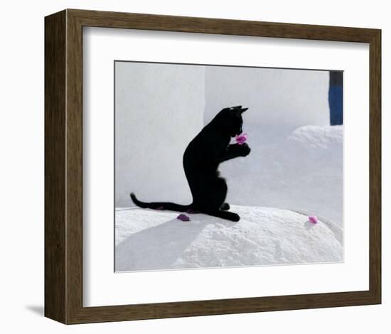 Cat and Flower-Hubert & Klein-Framed Art Print