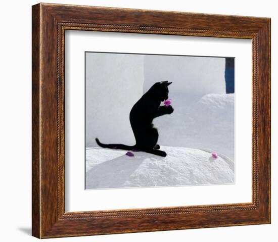 Cat and Flower-Hubert & Klein-Framed Art Print