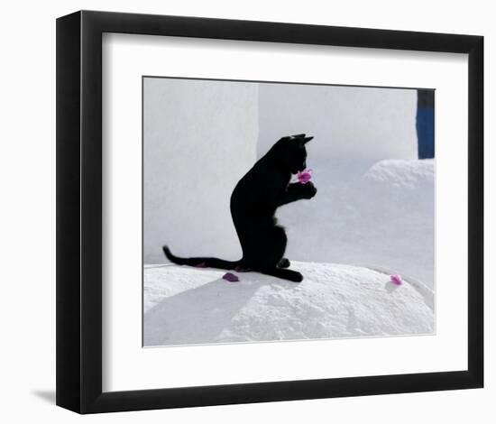 Cat and Flower-Hubert & Klein-Framed Art Print