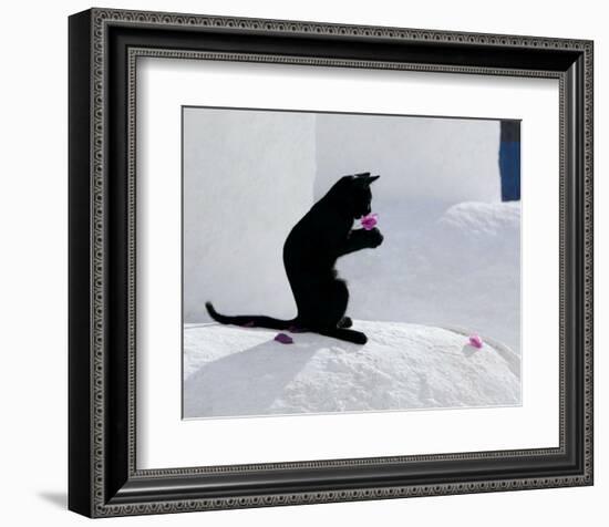 Cat and Flower-Hubert & Klein-Framed Art Print