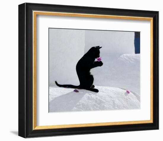 Cat and Flower-Hubert & Klein-Framed Art Print