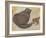 Cat and Kitten-Edward Burne-Jones-Framed Giclee Print