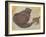 Cat and Kitten-Edward Burne-Jones-Framed Giclee Print