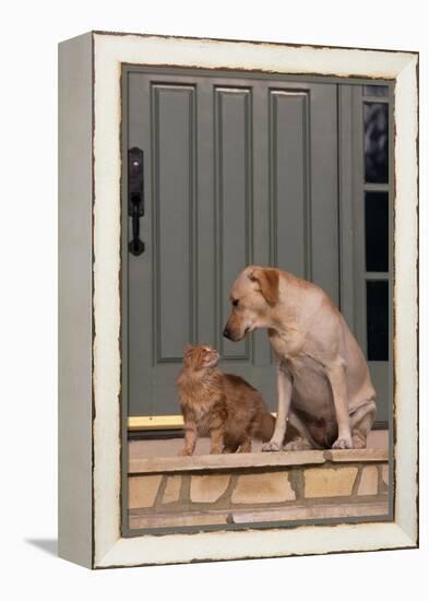 Cat and Labrador Sitting on Front Step-DLILLC-Framed Premier Image Canvas