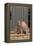 Cat and Labrador Sitting on Front Step-DLILLC-Framed Premier Image Canvas