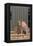 Cat and Labrador Sitting on Front Step-DLILLC-Framed Premier Image Canvas