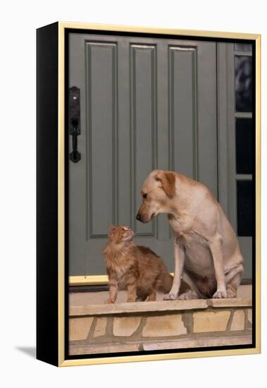 Cat and Labrador Sitting on Front Step-DLILLC-Framed Premier Image Canvas