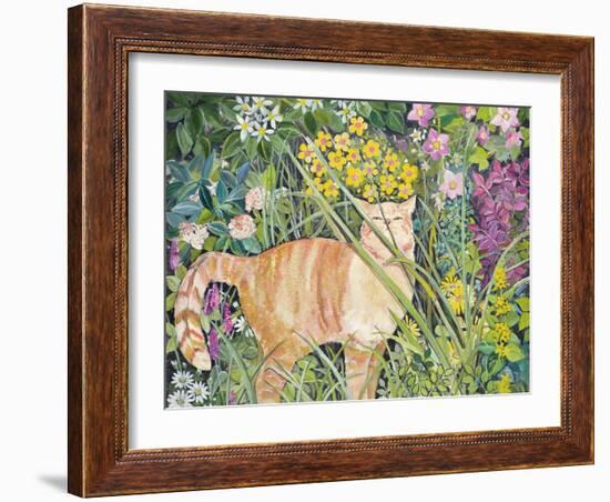 Cat and Long Grass, 1996-Hilary Jones-Framed Giclee Print